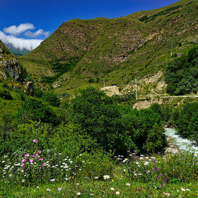 Лето в Дигории (1)